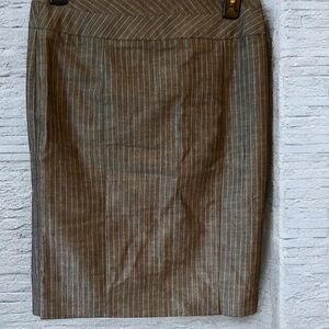Gray Pinstripe Women's Skirt